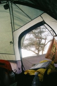 215087_2071381059709_8211373_n