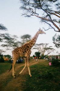 263298_2071381939731_5758620_n