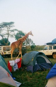 285197_2071382419743_1373700_n