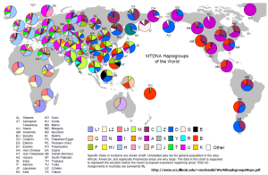 mitochondrial-haplotypes-global-distribution